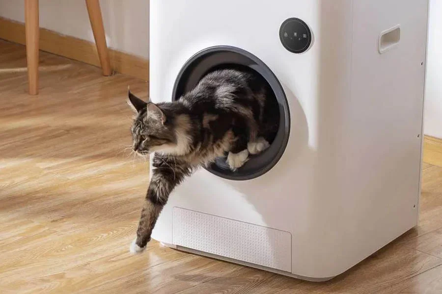 auto cat litter boxes